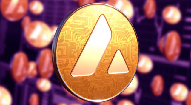 Avalanche Foundation's Criteria for Acquiring Meme Coins Revealed