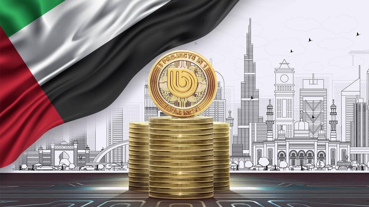 UAE Crypto Rules Spark Concerns