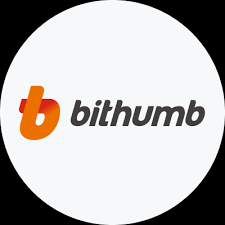 Bithumb's Ownership Structure Draws Regulatory Attention