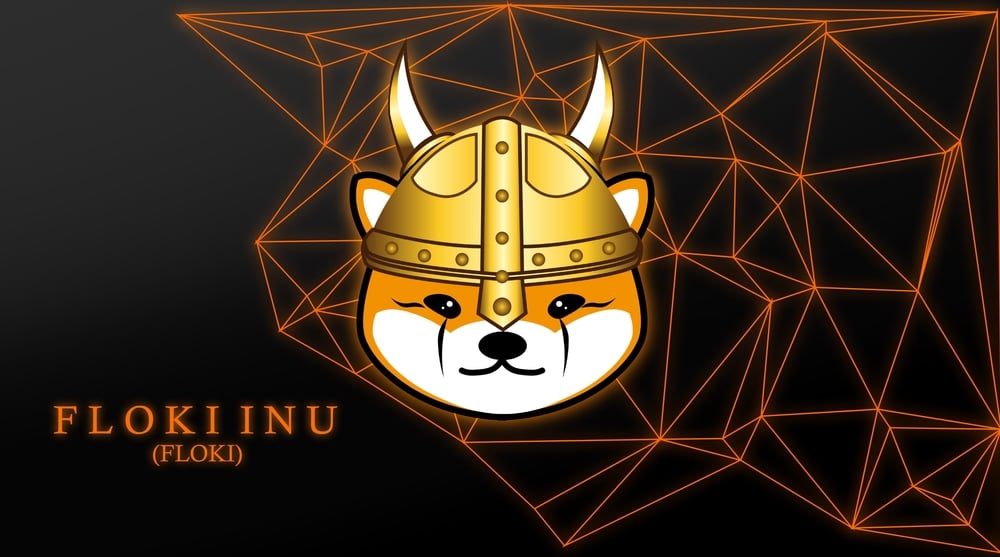 Floki Inu Is Now Part Of The Multichain Family