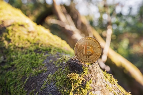 how does crypto mining hurt the environment