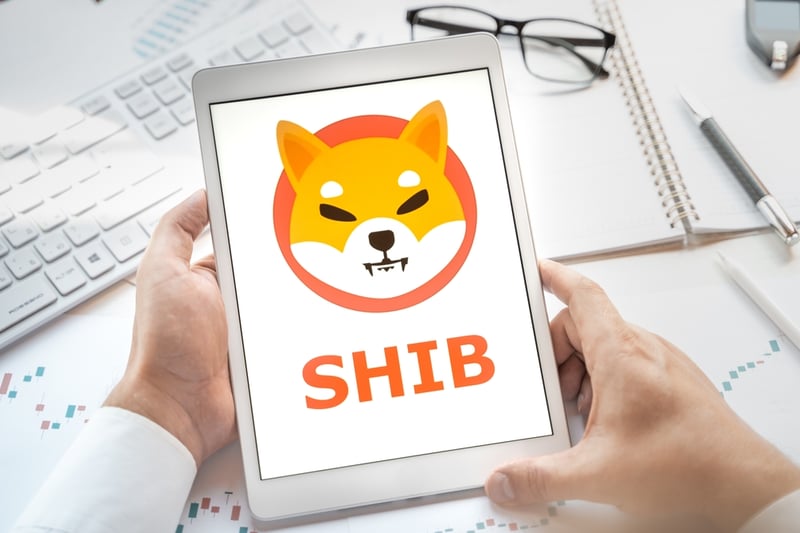 Shiba Inu’s Shibarium Goes Live: SHIB Dips By 7% Due To Shibarium Bridge Issues