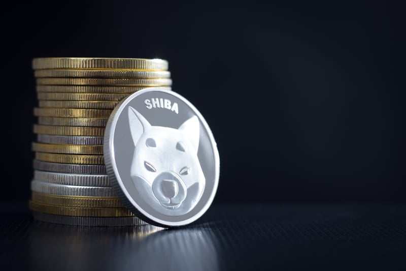 Shiba Inu’s Bid Event For Land Sale Is Now Live